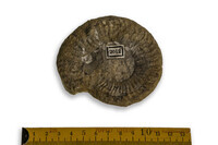 F 02012
<br/>
<br/>
<em></em>